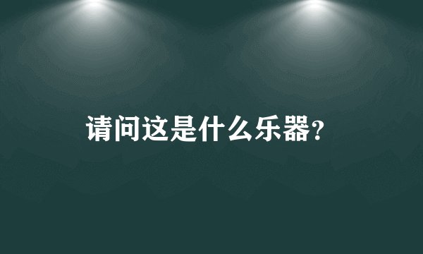 请问这是什么乐器?