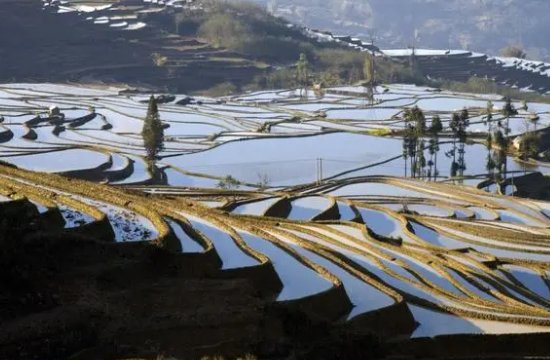 春节去哪里旅游最好