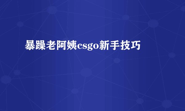 暴躁老阿姨csgo新手技巧