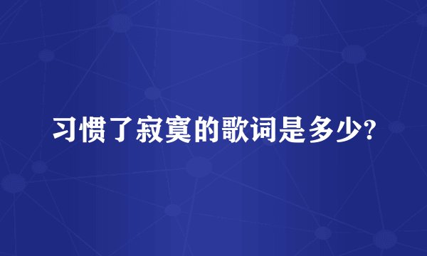 习惯了寂寞的歌词是多少?