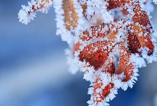 四九天是几月几号2024年