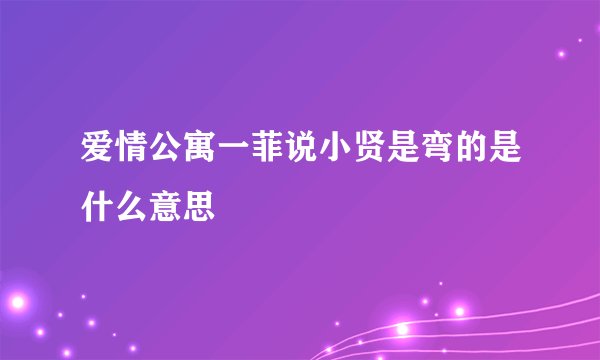 爱情公寓一菲说小贤是弯的是什么意思