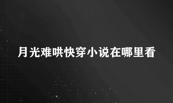 月光难哄快穿小说在哪里看