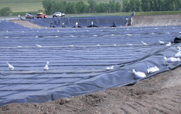 liner是什么意思