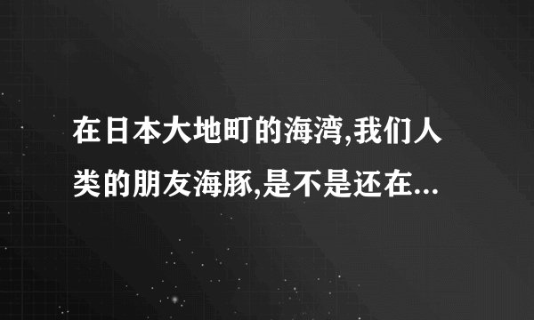 在日本大地町的海湾,我们人类的朋友海豚,是不是还在遭受着血腥的屠杀?