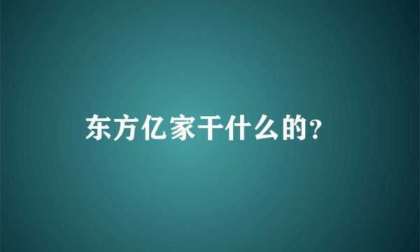 东方亿家干什么的？