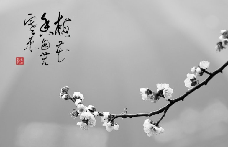 梅花香自苦寒来出自哪里?