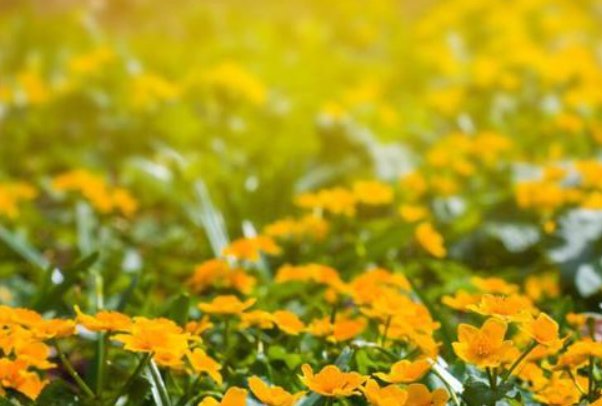 南京工程学院学姐1v4是谁啊？