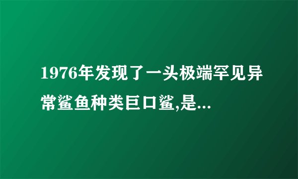 1976年发现了一头极端罕见异常鲨鱼种类巨口鲨,是什么鲨？