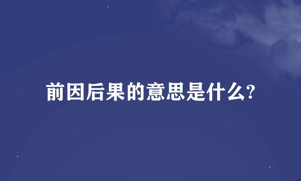 前因后果的意思是什么?