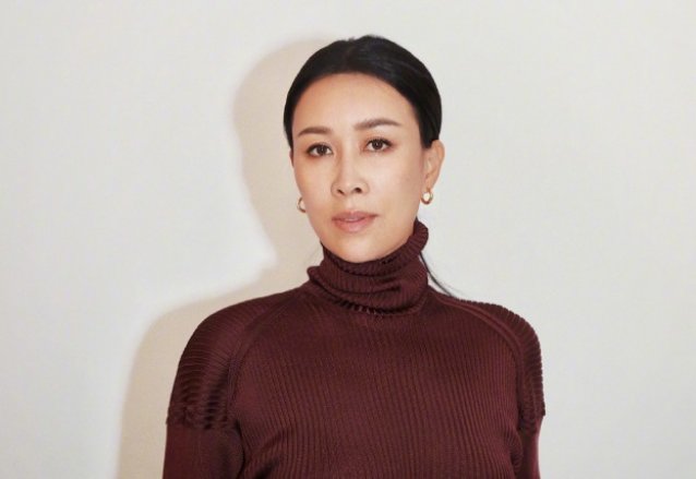 那英个人资料简介