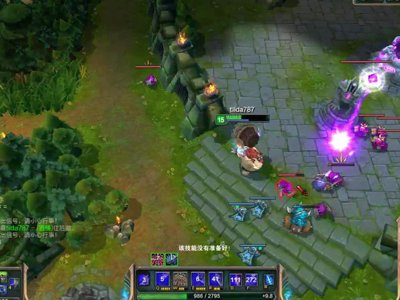 皮城警备的背景故事