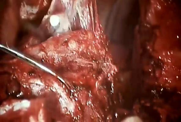 人体实验的介绍