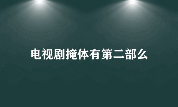 电视剧掩体有第二部么