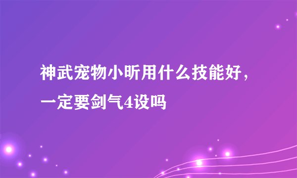 神武宠物小昕用什么技能好，一定要剑气4设吗