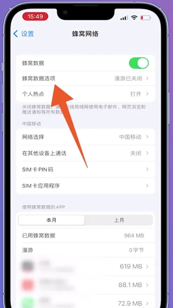 苹果怎么限制流量的使用呢？
