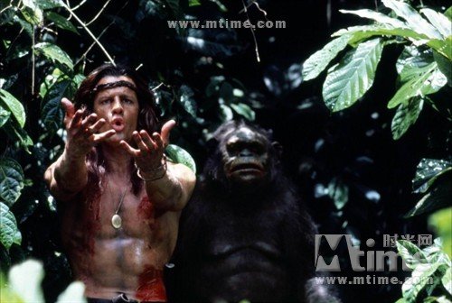 泰山王子的剧情简介