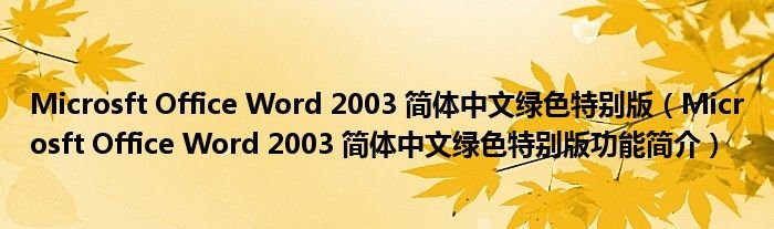 MicrosftOfficeWord2003简体中文绿色特别版MicrosftOfficeWord2003简体中文绿色特别版功能简介