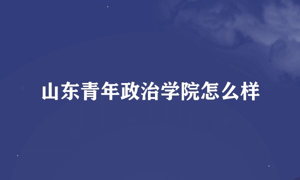 山东青年政治学院怎么样
