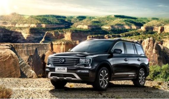 gs是什么意思啊？