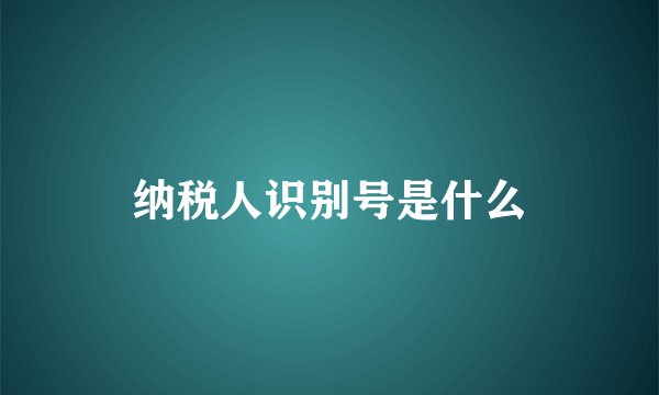 纳税人识别号是什么