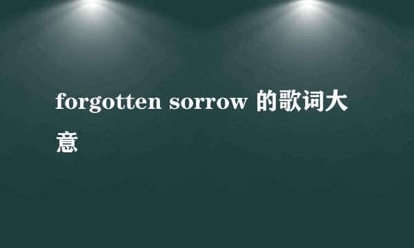 forgotten sorrow 的歌词大意