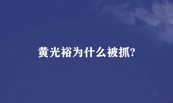 黄光裕为什么被抓?