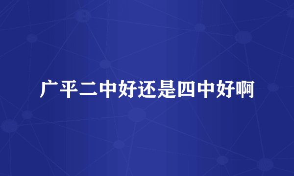 广平二中好还是四中好啊