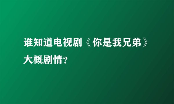 谁知道电视剧《你是我兄弟》大概剧情？