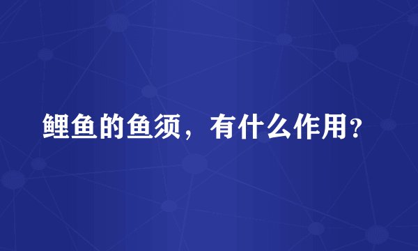 鲤鱼的鱼须，有什么作用？