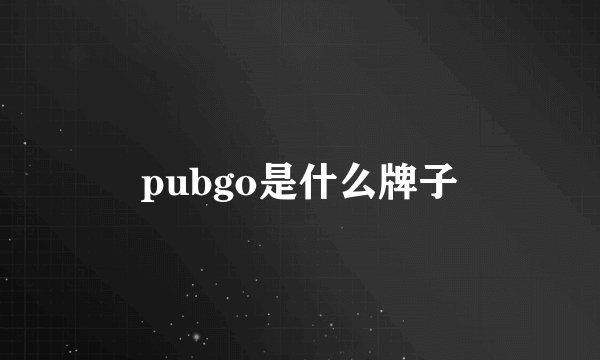 pubgo是什么牌子