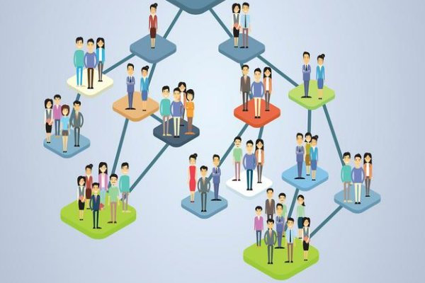 组织结构的特性