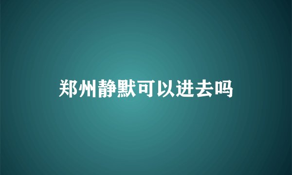 郑州静默可以进去吗