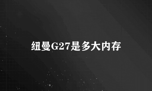 纽曼G27是多大内存