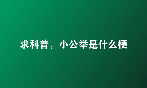 求科普，小公举是什么梗