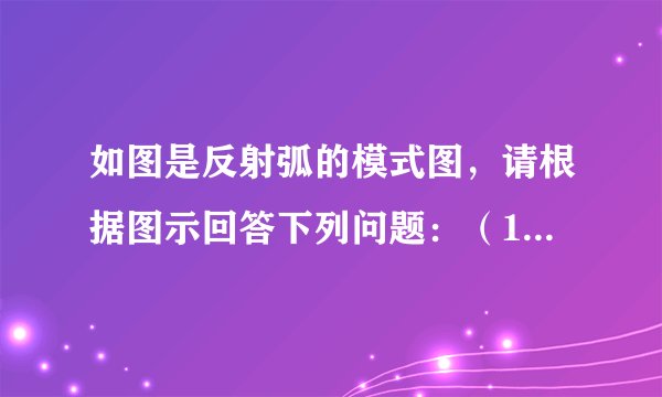如图是反射弧的模式图，请根据图示回答下列问题：（1）图中a、b、c、d、e所示的结构分别是______、______