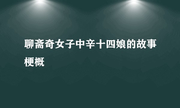 聊斋奇女子中辛十四娘的故事梗概