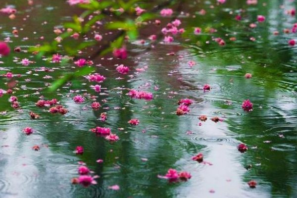 怎样描写下雨天前、中、后的情景呢？