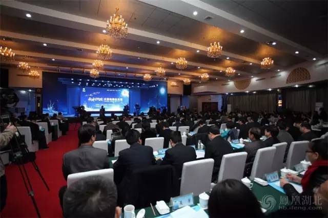 水都论坛的论坛特点