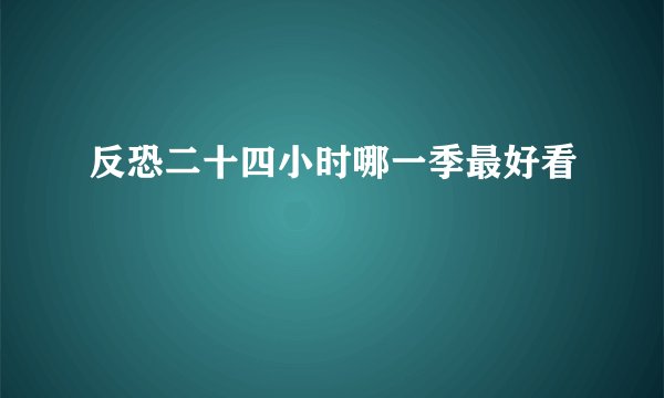 反恐二十四小时哪一季最好看