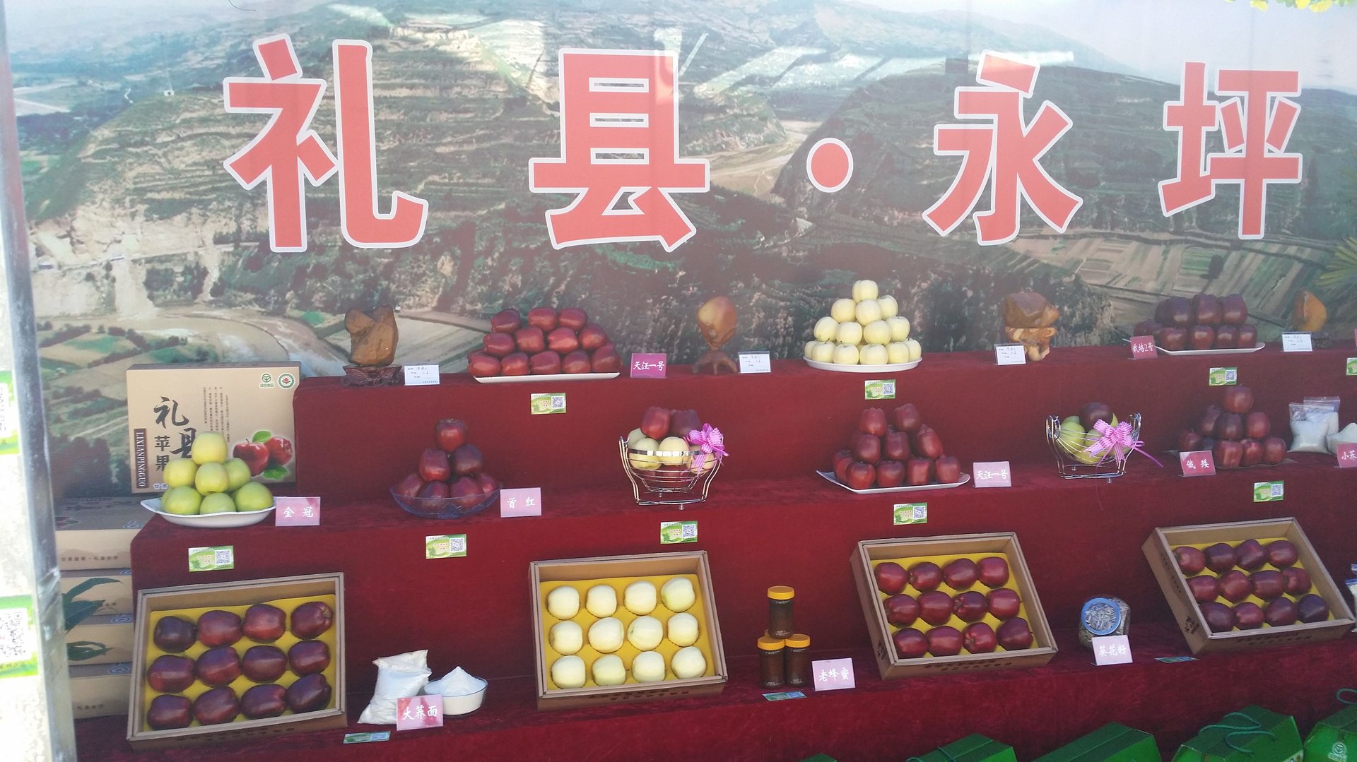 谁知道礼县？礼县好不好？