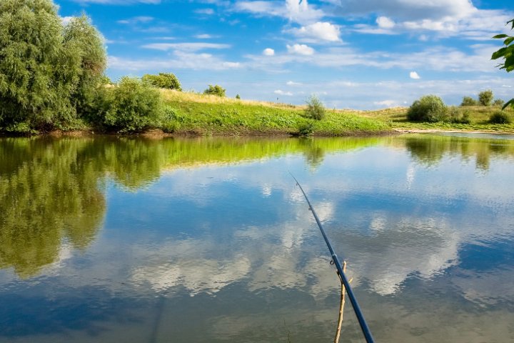 yoshi怎么读音英语
