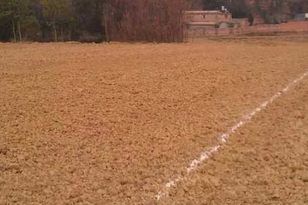 1亩等于多少平方