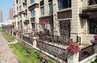 西安男子花145万买房,5天后成为“凶宅”,这5天内到底发生了什么?