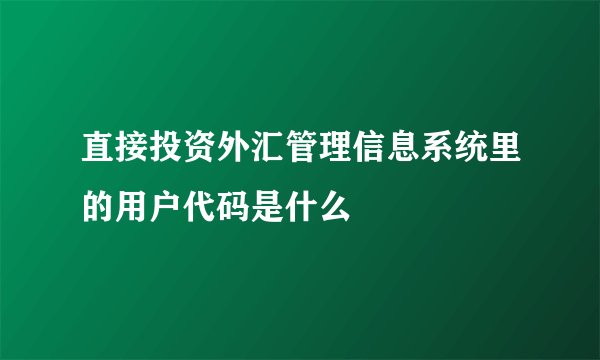 直接投资外汇管理信息系统里的用户代码是什么