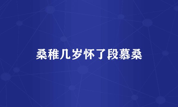 桑稚几岁怀了段慕桑