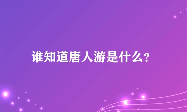 谁知道唐人游是什么？