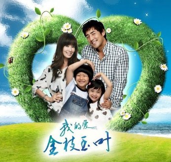 我的爱金枝玉叶大结局是什么？