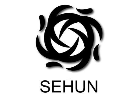 求图片：exo世勋的 logo