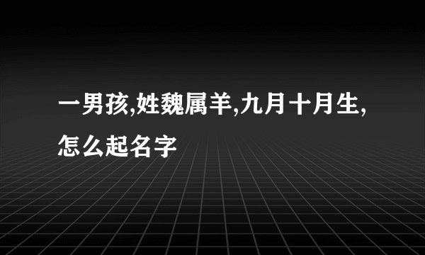 一男孩,姓魏属羊,九月十月生,怎么起名字